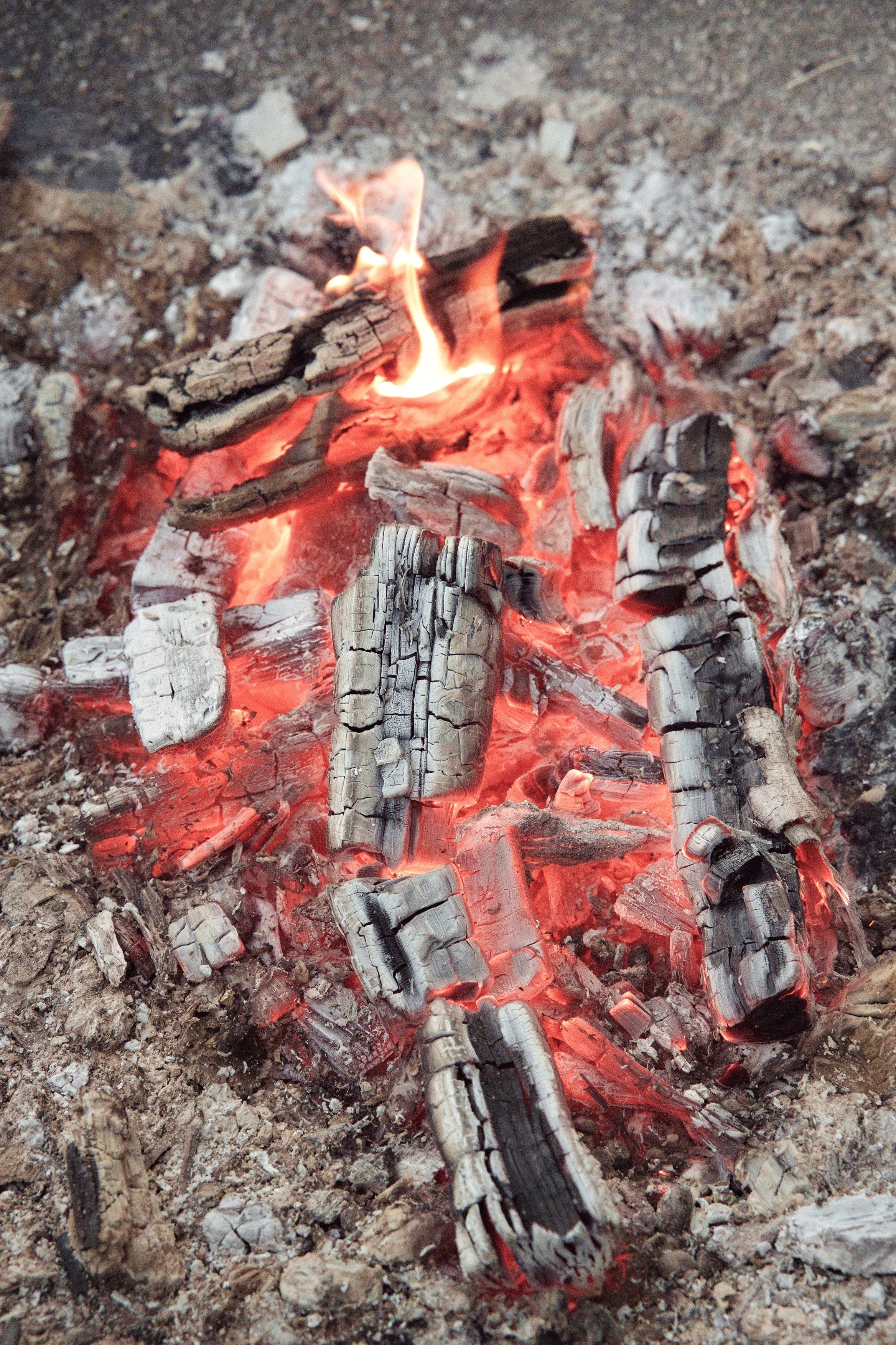 Sevenoaks Firewood in Summer: More Than Just Winter Logs