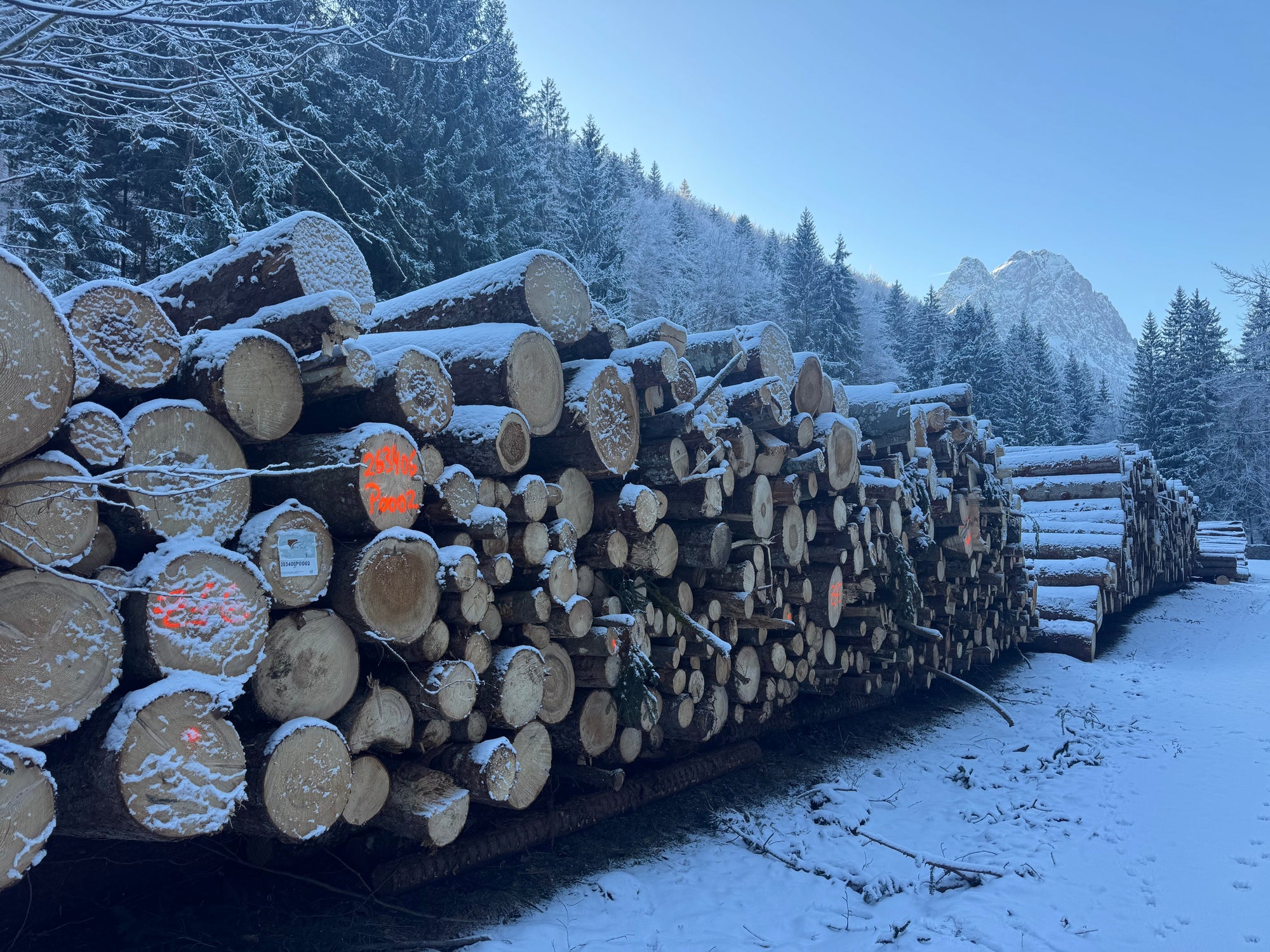 How Much Firewood Do I Need for Winter? Bulk Bag Guide (UK)