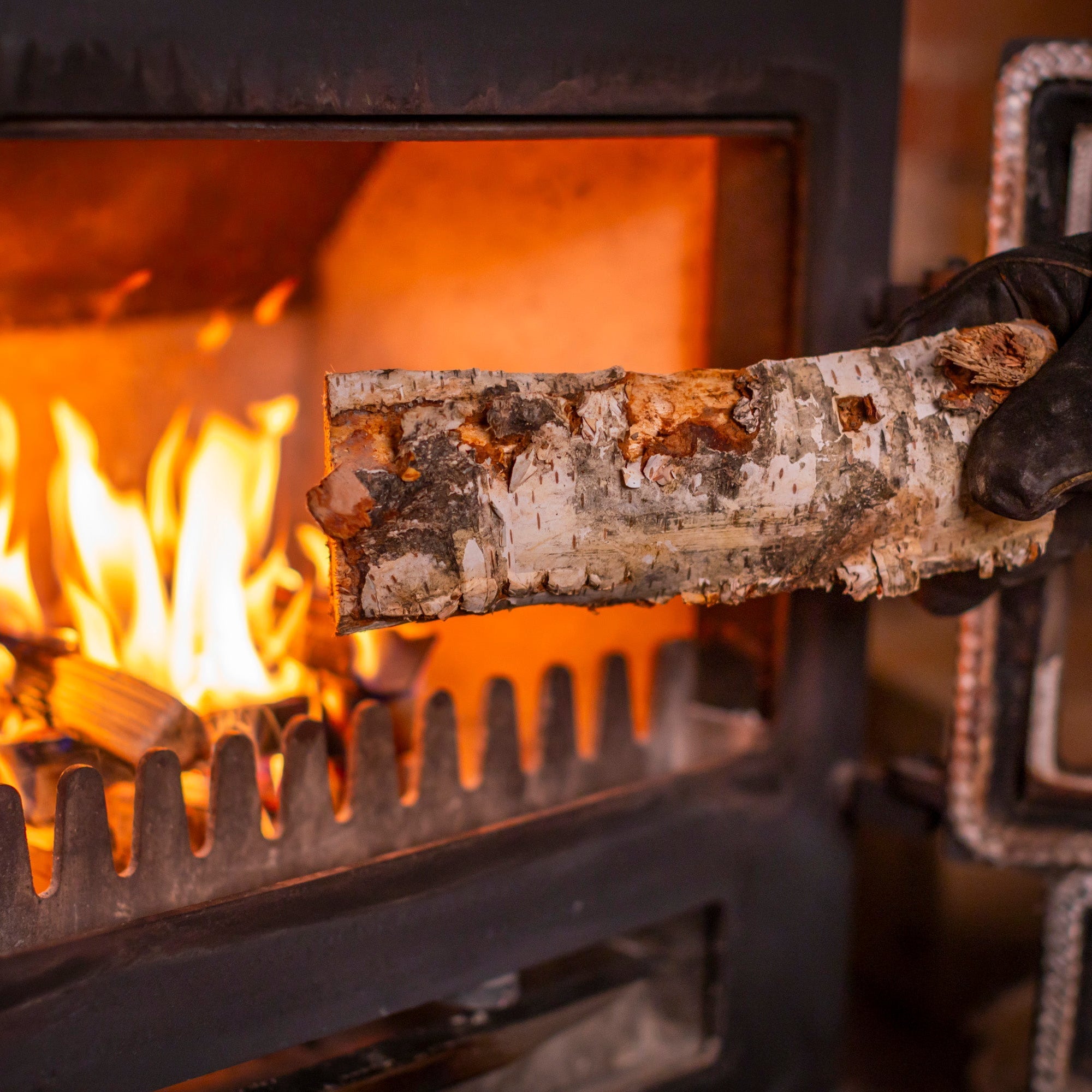 Hardwood vs Softwood Firewood (UK Guide)