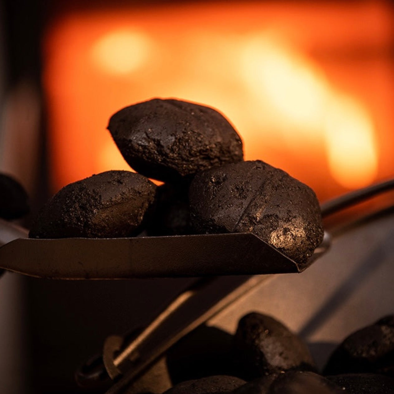 Ecoal Smokeless Coal 25kg – Sevenoaks Firewood Ltd