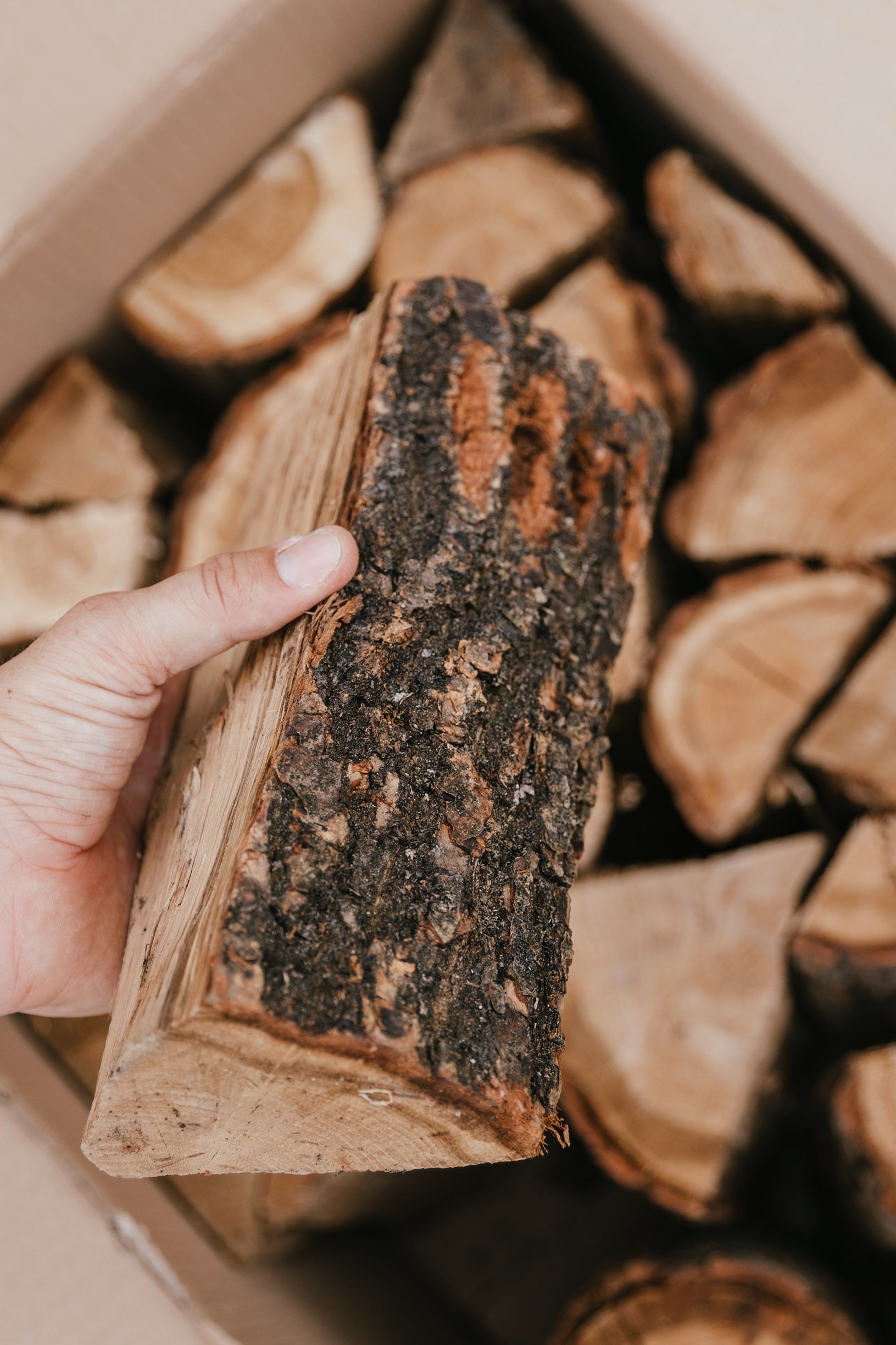 sevenoaks firewood kiln dried oak log box